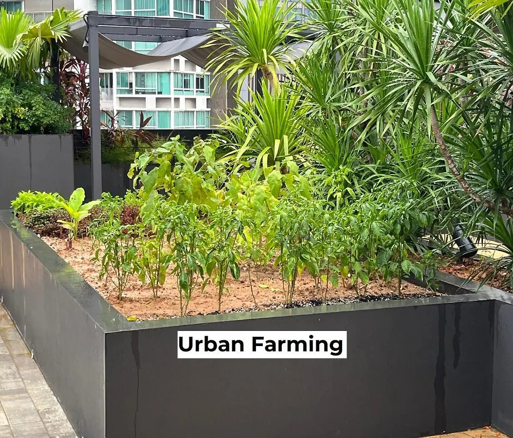 Vichaus Serviced Apartment Singapore
